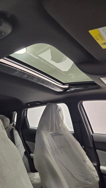 yağış sensoru: Model: Qiyuan Q05 125 km AIR (ağ rəngli, SUV) Xüsusiyyətlər və dizayn — 7