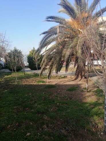 работа уборщицы на неполный рабочий день: Salam aleykum Adim Sahib 44yaşim var Bakıda yaşayiram Baki etrafi — 19