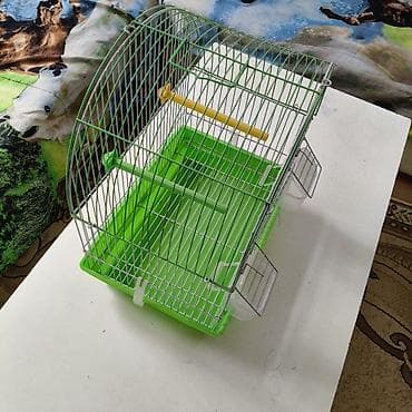 amadin qulda: Quş qəfəsi – kiçik dekorativ quşlar üçüş - Material: sinklənmiş metal — 3