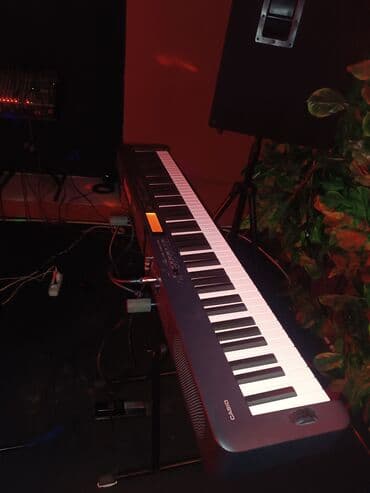 Gitaralar: Midi-klaviatura, Casio — 2