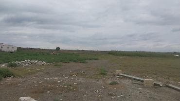 munasib qiymete evler: 8 sot, Kənd təsərrüfatı, Maklerlər narahat etməsin, Kupça (Çıxarış) — 8