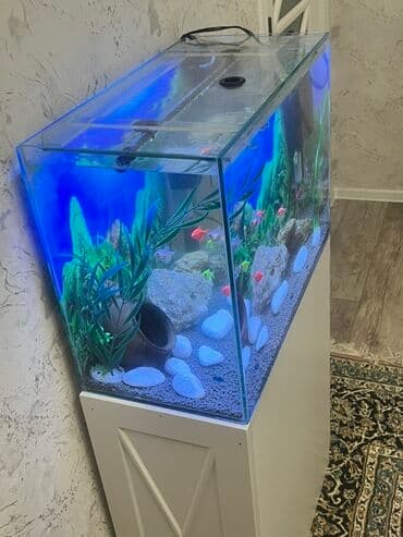 qus yuvasi duzeltmek: Akvarium-şkaf, Balıqlarla birlikdə, 90 l, Ödənişli çatdırılma — 4