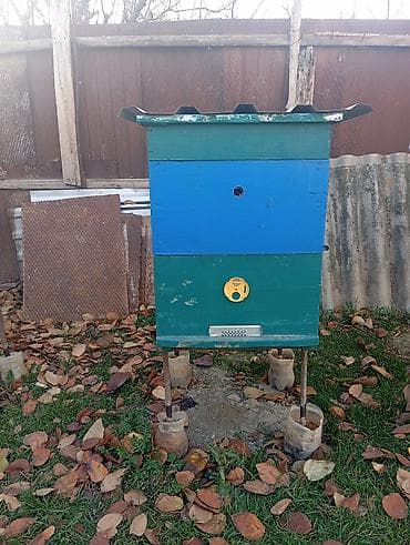 3 ədəd arı yeşiyi korpusuzlar 12 ramkalıqdı özüm düzəltmişəm