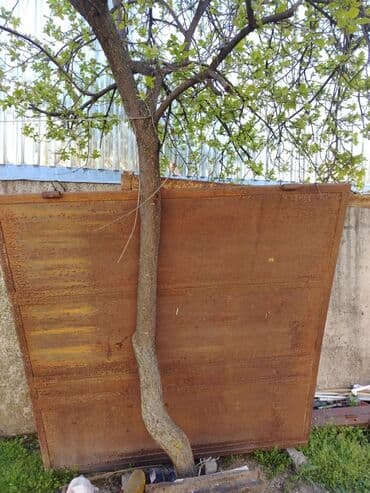 Dəmir Həyət darvazası, Yana açılan, Mexaniki