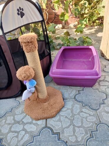 купить домик для кота: Pişik üçün aksesuar dəsti hamisi birlikde 60azn cox az islenib yeni — 6