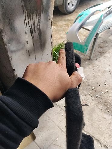 2106 sit: Avtomobil üçün akustik arxa polka (speaker polkası) niva polkasidi — 3