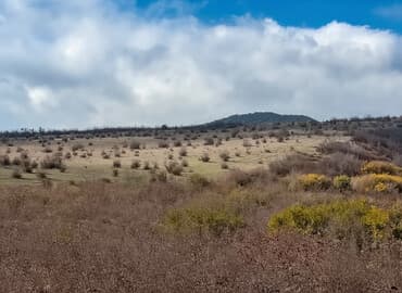 2500 sot, Kənd təsərrüfatı, Mülkiyyətçi, Kupça (Çıxarış)