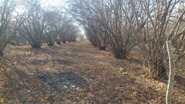 2 otaqli yeni tikili menziller: Tikinti, Mülkiyyətçi — 2