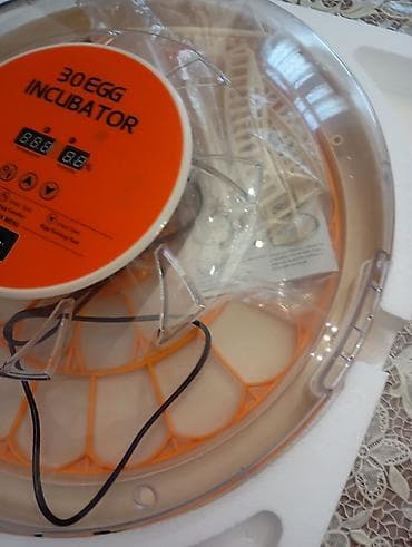 İnkubatorlar: Tam avtomatik yumurta inkubatorları 120 ve 30 yerlik.ikisin goturene — 2