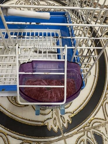 Heyvanlar üçün mallar: Erkey ve disidir. Xesteliyi falan yoxdur sağlam quşlardir. Qefesi + — 4