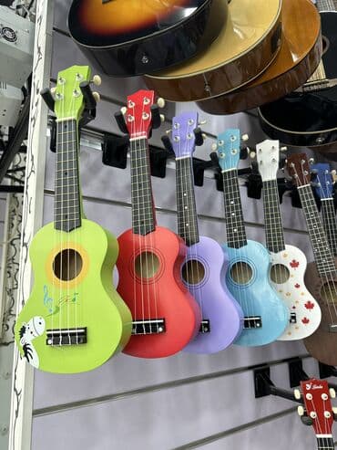 6 струнная укулеле: Укулеле, Новый — 1