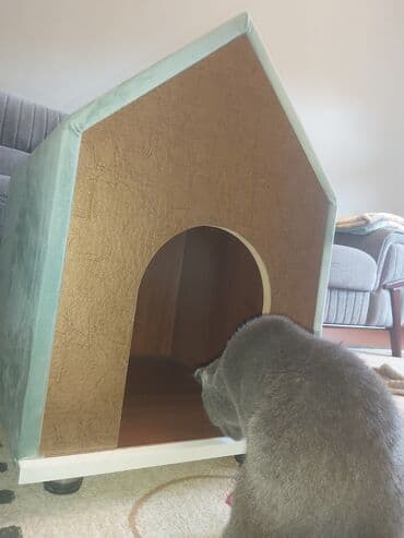 pişik ev: Pişik üçün ev. Akril Laminat 18 lik. Ölçüləri : Hündürlük 70 sm. Eni — 3