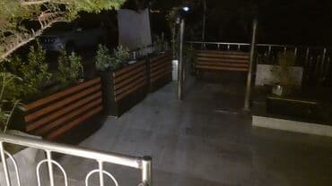 jasmin gülü: Dibceklər #biçeklər hər ölcüdə gülə #gül yeşikləri 1il rəsmi — 6