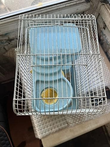 sicovul: Hamster və balaca gəmiricilər üçün qəfəs - Rəng: açıq mavi plastik — 3