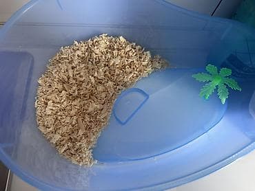 Heyvanlar üçün mallar: Kiçik quru tısbağa – akvaterrarium dəsti ilə Məhsul təsviri: - Kiçik — 5