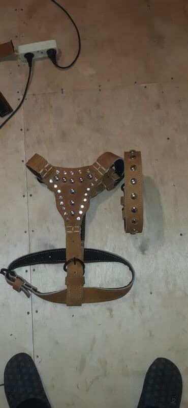 İt remenləri satılır müxtəlif növdə, razmerdə remen, ağızlıq, gəzdirmə