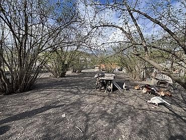 mehdiabadda torpaq: 26 sot, Kənd təsərrüfatı, Kupça (Çıxarış) — 4