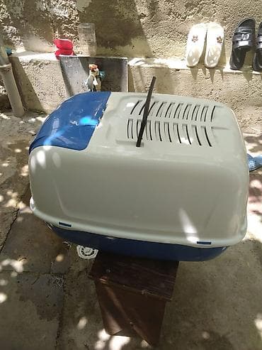 30 manata pişik qum qabısı təcili satılır — 2