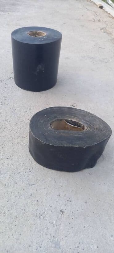 Otaq bitkiləri: 2 ədəddir. Cəmi 18 kq-dı(13+5) — 1