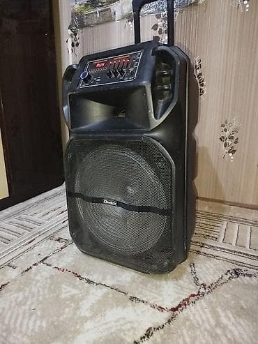 samsung noutbuk: Daşınan səs gücləndirici (DM&S markalı portativ akustik sistem) - — 10