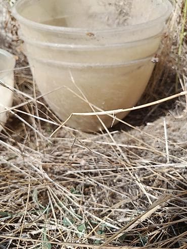 rengli guller: Böyük plastik çiçək qabı.4 dənədir Böyük qablardır Böyük bağlara və — 1