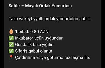 ət məhsulları: Ünvan şirvan yerli Pekin lal ördəy yumurtası qarışığ — 1