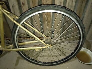 алиса купить в баку: Reyal Alçi yigsin Heç bir pirablemi yoxdu saz veziyədədi pul lazimdi — 1