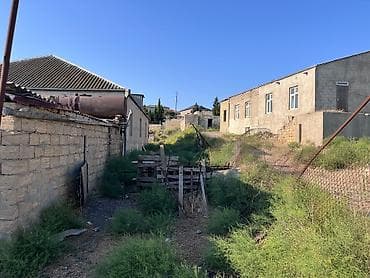 4 sot, Tikinti, Kupça (Çıxarış) — 6