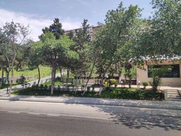 tendirxana icareye verilir 2025: Xətai rayonu Gəncə prospektində yaxın yol kənarı 2 sot həyət sahəsi — 2