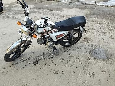 vaz guzgu: Moon brand 50 sm3 — 3