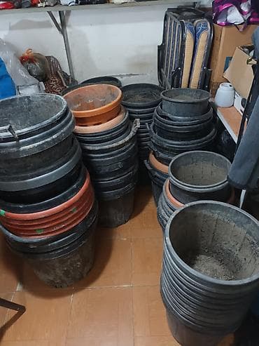 dibcəklər: Tecili satilir hamsi birlikde tek tek verilmir 90 yaxin boyuk qablardi — 1