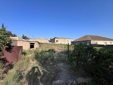 4 sot, Tikinti, Kupça (Çıxarış) — 3