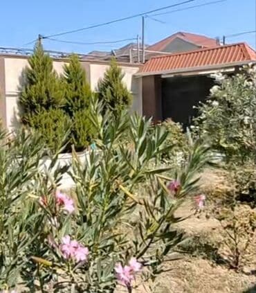 gencede ucuz evler 2023: 4 otaqlı, 180 kv. m, Kredit yoxdur, Yeni təmirli — 17