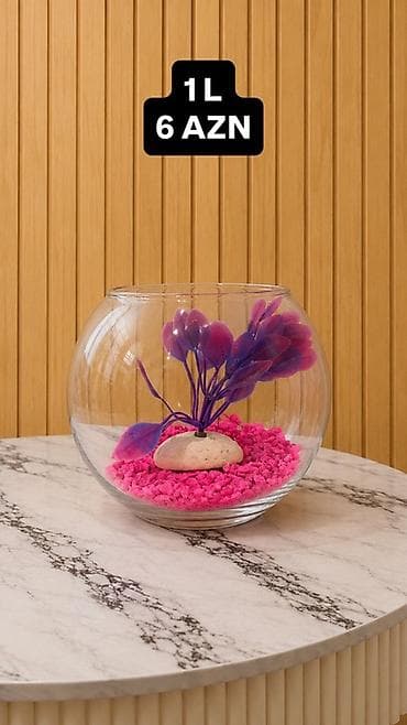 pulsuz it: Yumru akvarium, 1 l, Pulsuz çatdırılma, Ödənişli çatdırılma, Ünvandan götürmə — 3