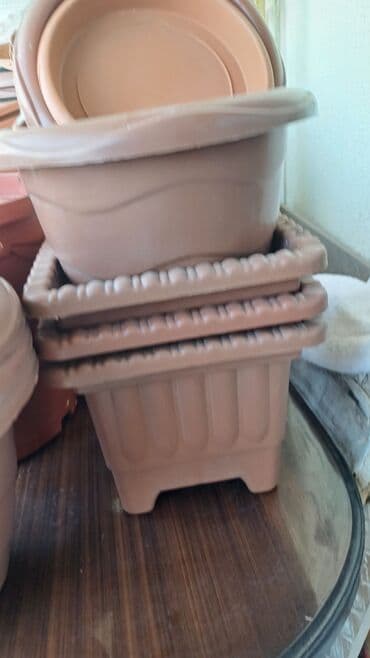 Digər bitkilər: 50eded.hamsi 20 azn — 5