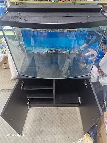 Akvariumlar: Akvarium-şkaf, Boş, 210 l, Pulsuz çatdırılma, Ödənişli çatdırılma — 2