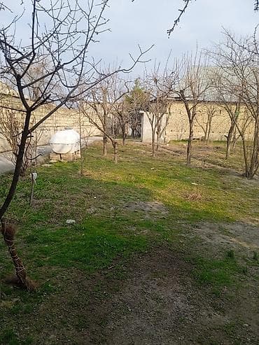 Mənzillər: 10 sot, Kənd təsərrüfatı, Mülkiyyətçi, Kupça (Çıxarış) — 3