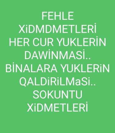 Satış: Gundelik Fehle xidmetide var,Ev sokuntusu ve dawinmawi.,her cur — 1