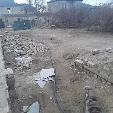 Собаки: Самка, лет: 2, 12 кг, Для молока — 1