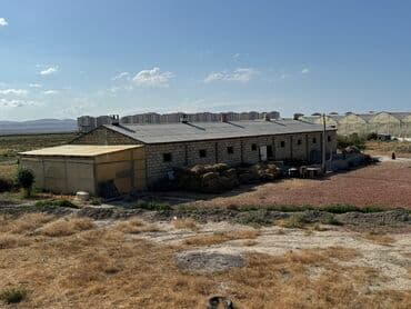 Lexus: 30 sot, Kənd təsərrüfatı — 7