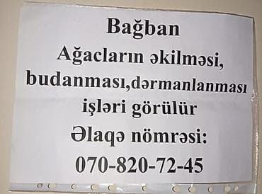 ferma iş: Bağban xidməti - Ağacların əkilməsi - Budanması (formaverən və — 1