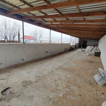 vasitəcisiz birbaşa sahibindən mənzil kirayələmək: Kənd təsərrüfatı, Mülkiyyətçi, Bələdiyyə, Kupça (Çıxarış) — 12