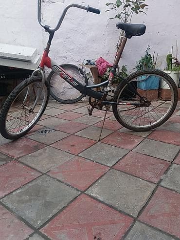 pol sapaşki: İki təkərli Uşaq velosipedi Stels, 20", sürətlərin sayı: 1 — 4