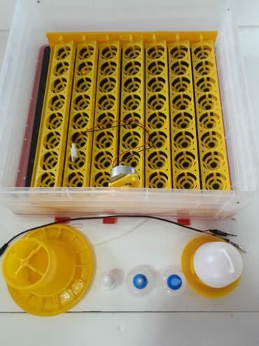 Süd sağan aparatlar: 50 yumurta, Çin, Fabrik istehsalı, Tam avtomat, Bütün növ quşlaq üçün — 4