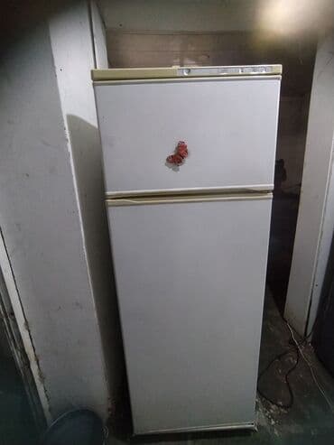 nord soyuducu qiymetleri: 2 qapılı Nord Soyuducu Satılır, rəng - Ağ — 7