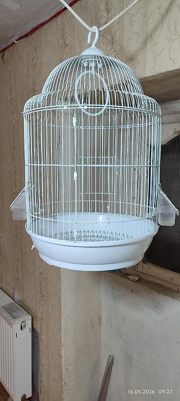 quş adları: Ağ rəngli yuvarlaq quş qəfəsi - Material: metal barmaqlıqlar, möhkəm — 2