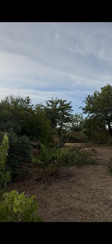 merdekanda torpag: 2 sot, Tikinti, Mülkiyyətçi, Kupça (Çıxarış) — 3