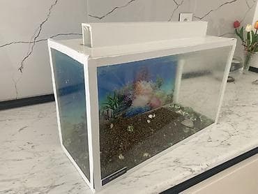 ikinci el akvaryum: Dördbucaq akvarium, Boş, 20 l, Ünvandan götürmə — 4