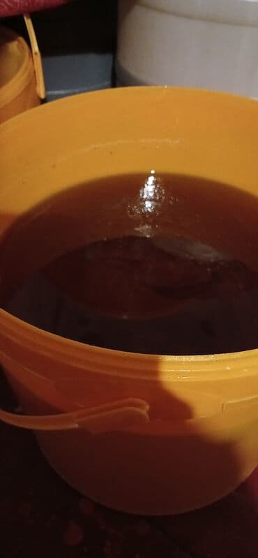 helba bitkisi faydaları: BAL; Bu təbii məhsul, ALLAHIN insanlara əta etdiyi ən böyük ŞİFA — 29