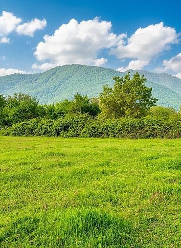 renessans palace ev satilir: 40 sot, Biznes üçün, Maklerlər narahat etməsin, Kupça (Çıxarış) — 2